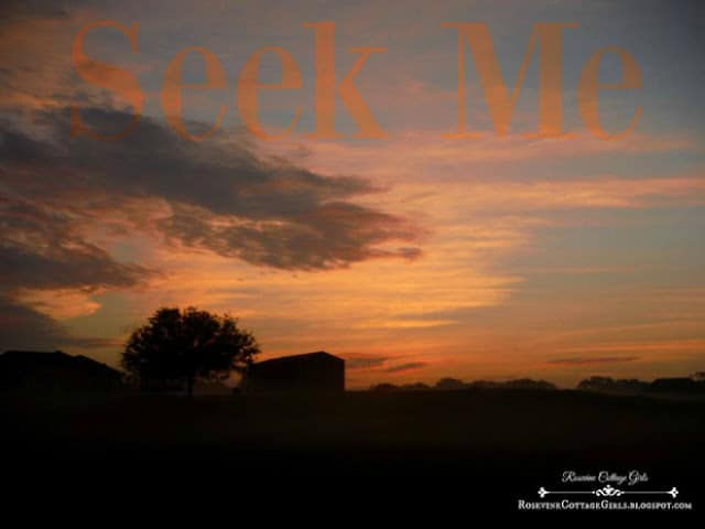 RosevineCottage's tweet image. Seek Me rosevinecottagegirls.com/seek-me-2/ via @@RosevineCottage #seekingGod #findingGod #Devotional #faith #christianfaith