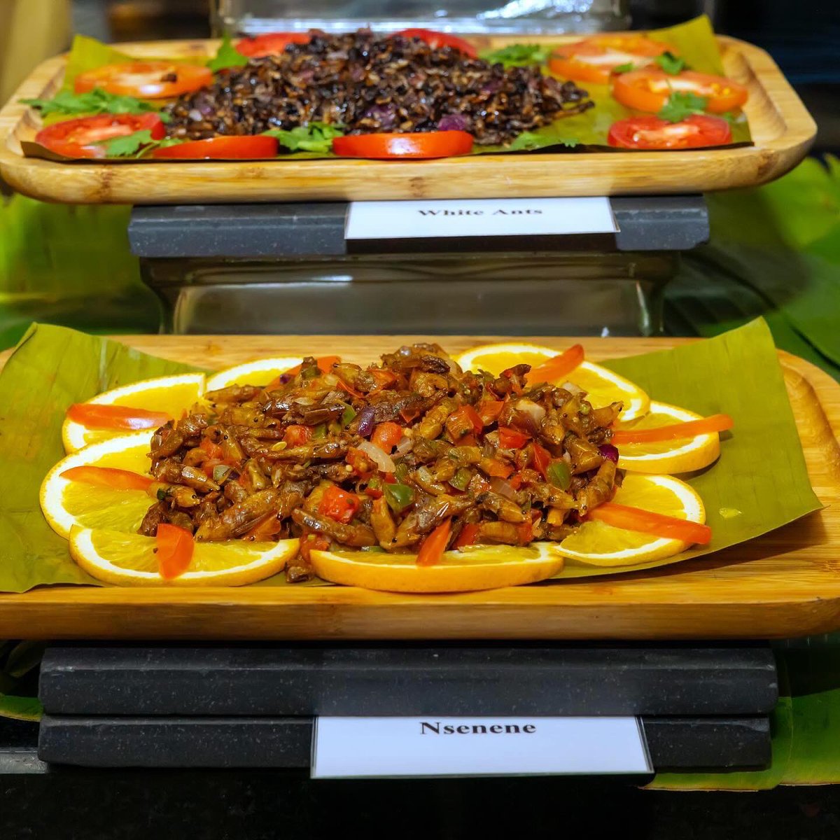 ProteaKampalaH's tweet photo. Every Monday = Traditional Night! 
Join us at Chapter One Restaurant for local cuisine &amp; cultural experiences! 
#TraditionalNight #UgandanCuisine #MondayNights #proteakampala https://t.co/CmMIE0nzca