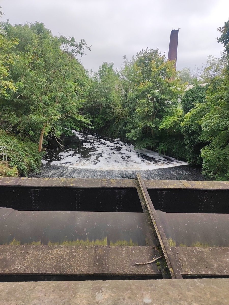 Dominic Sexton 💙 tweet media