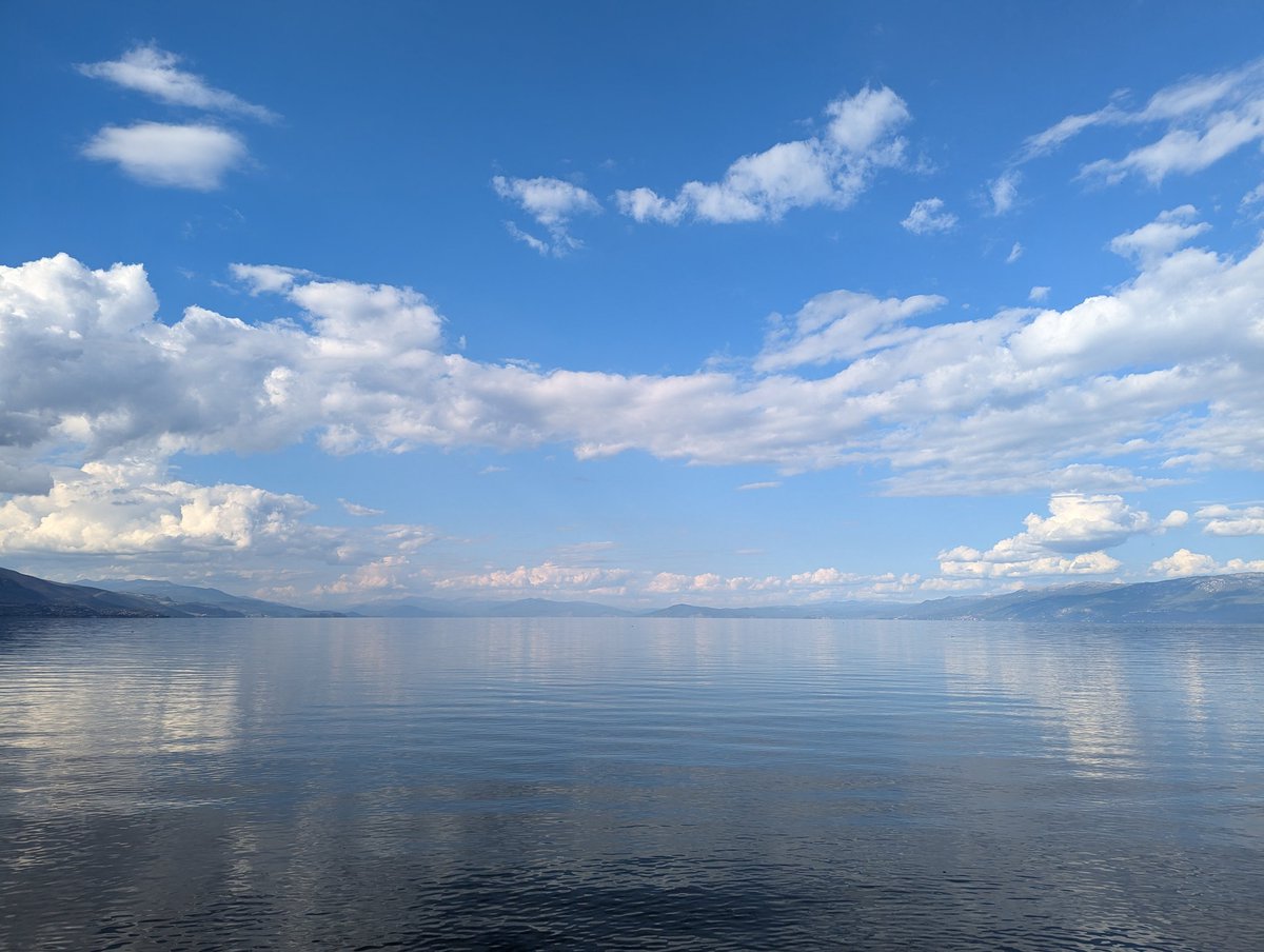 Ophélie Haire tweet media