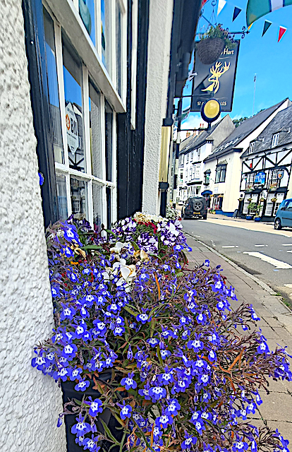 Anotherday6910's tweet photo. Did you know... Modbury means "Meeting Place" in old English.

https://t.co/jPlFXv6moZ
https://t.co/QZ8lxFvU3u

#Devon #England #travelblogging #locationindependent #digitalnomads #workhardanywhere #bookreader #bookstagram #booklover #books #book #bookworm #bookstagrammer https://t.co/5cErdPeEGT