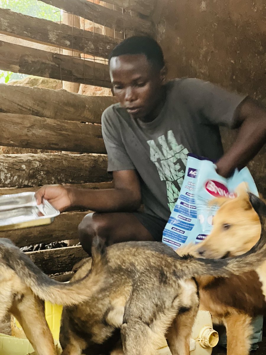 Daviddogscare1's tweet photo. We appreciate the little support from all our dear friends around the globe may God bless you all dear friends . 
Gofundme link in my bio to donate any amount:👉🏾 https://t.co/VJ6lzNKjsj https://t.co/JkKQv8MYfe