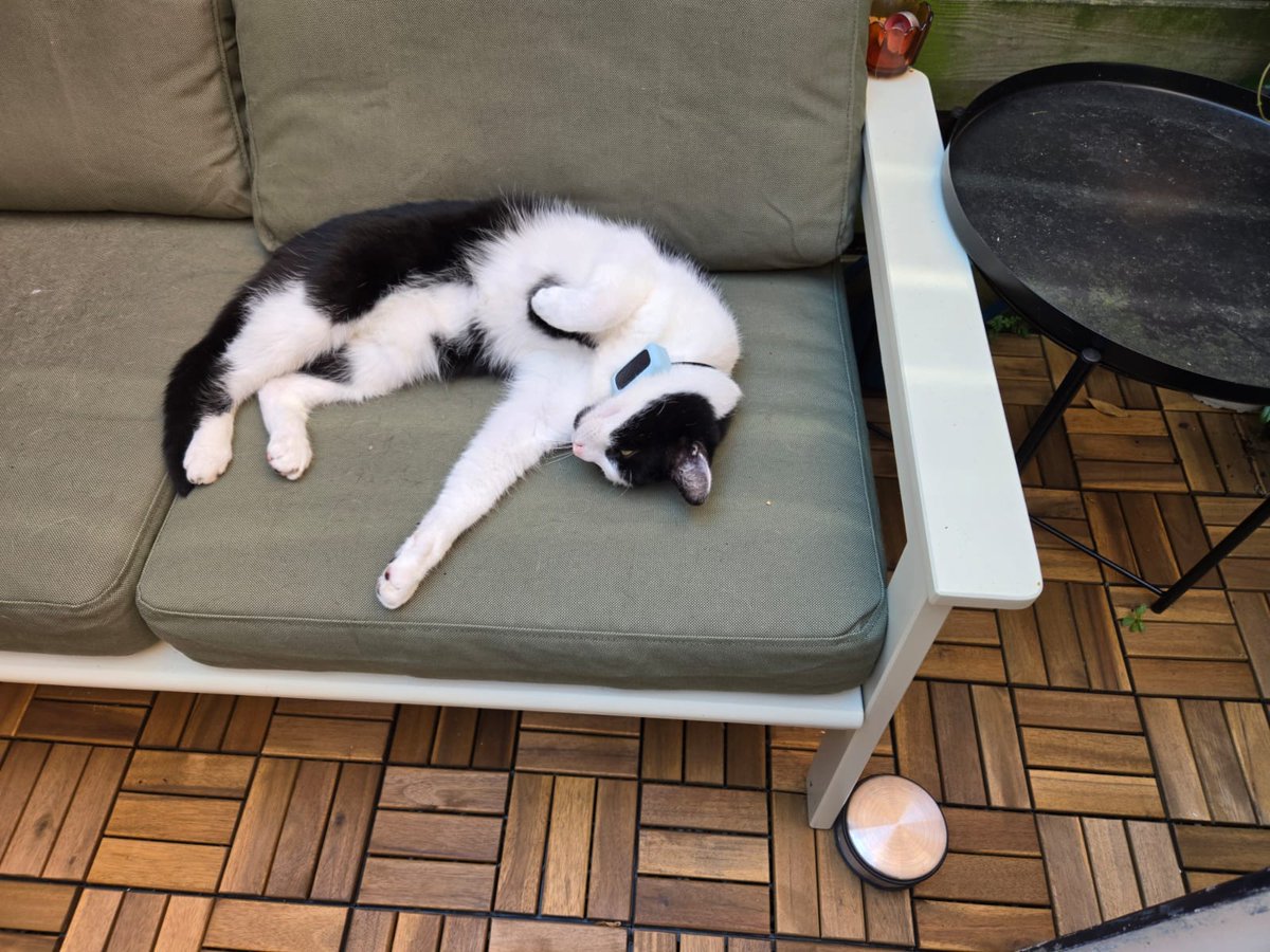 BenBillyKwijt's tweet image. GEFELICITEERD BOUNTY, 5 JAAR ALWEER 🥰🥰