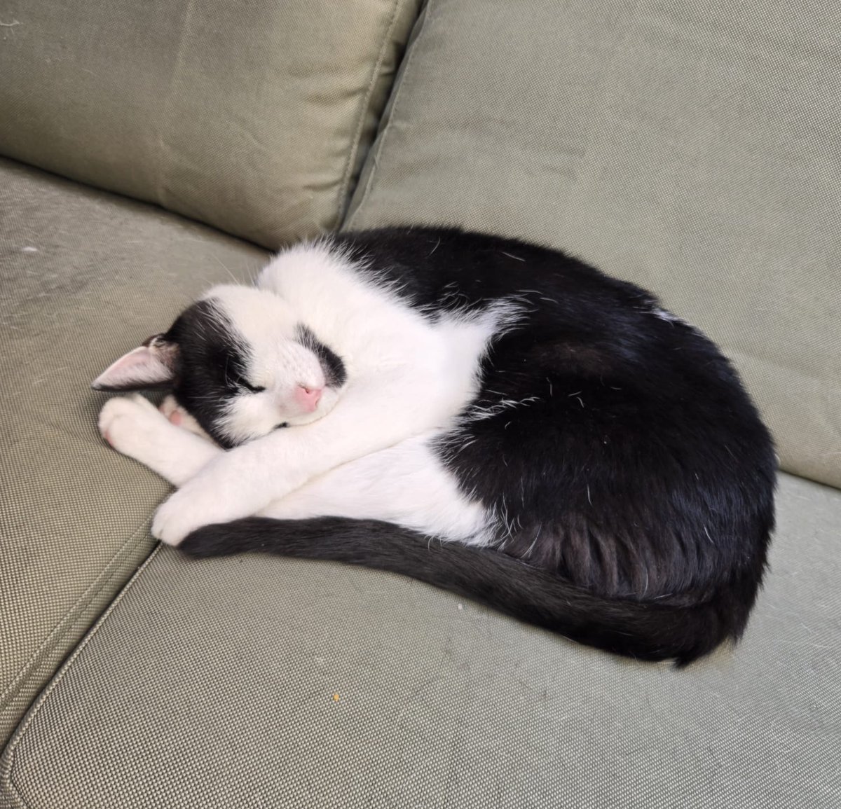 BenBillyKwijt's tweet image. GEFELICITEERD BOUNTY, 5 JAAR ALWEER 🥰🥰