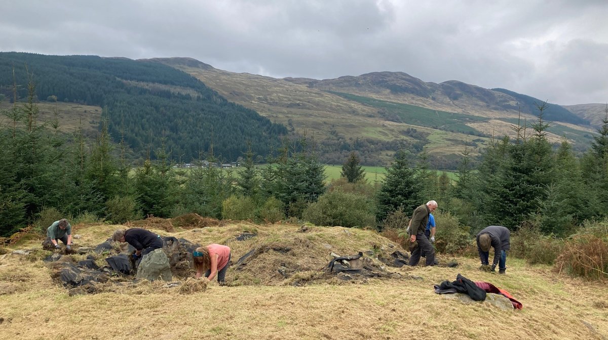 Stronafian Community Forest tweet media