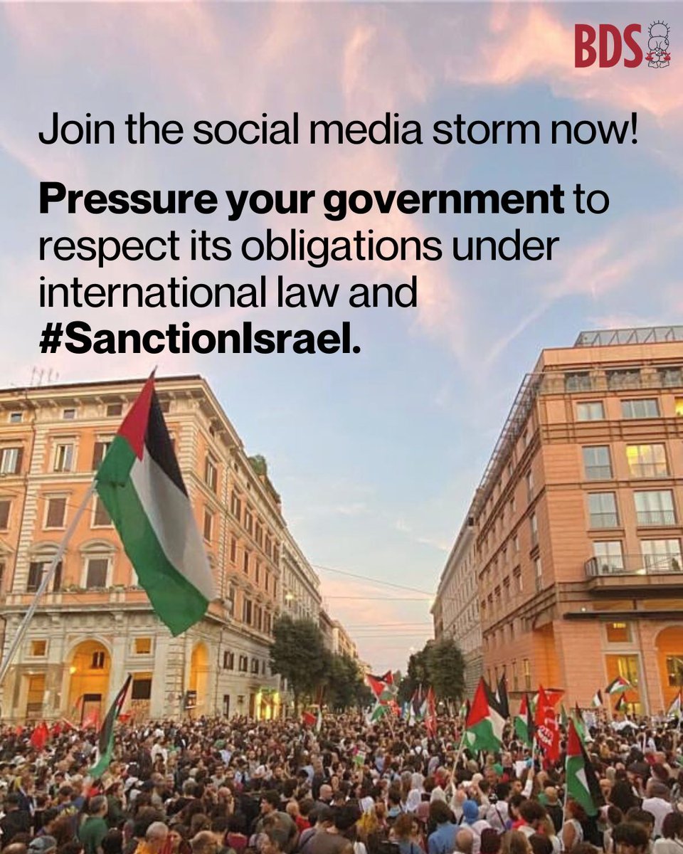 BDS movement tweet media