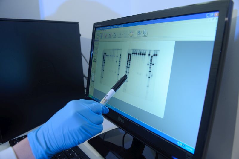 CANSA Shavathon tweet media