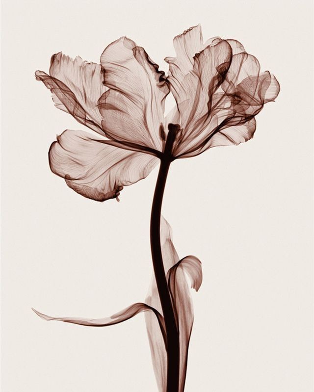 ْ𓍯 (@onlyyouforeveer) on Twitter photo 