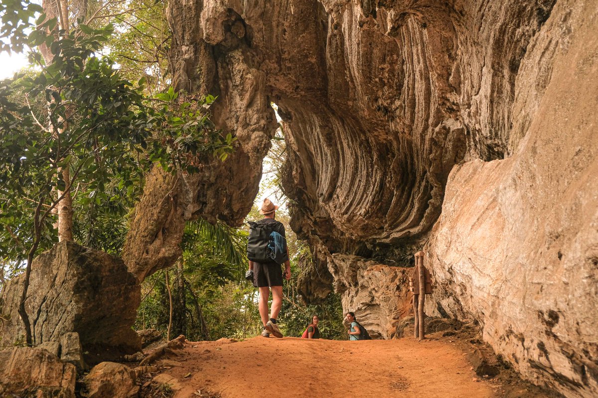 Journey Latin America tweet media