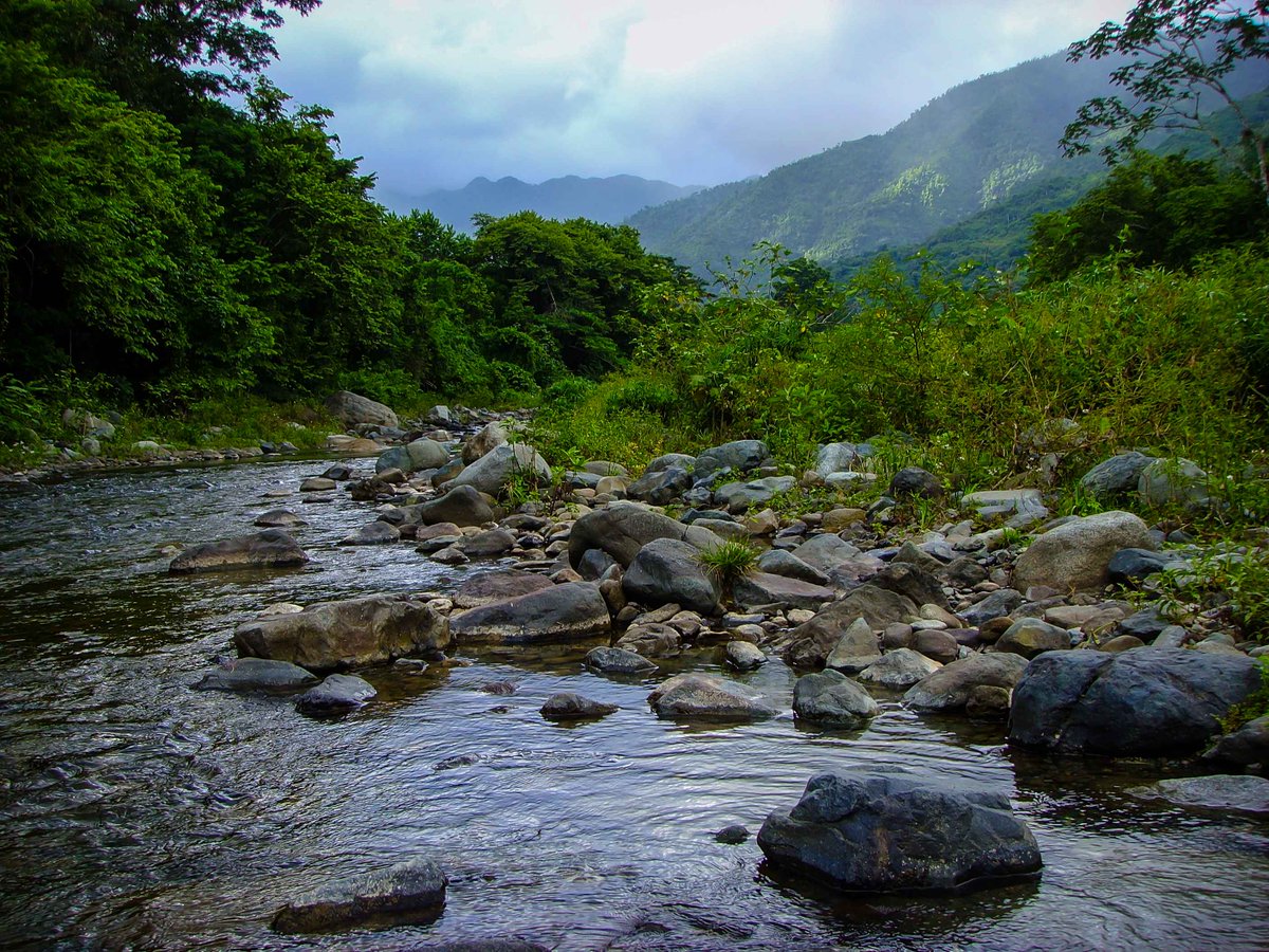 Journey Latin America tweet media