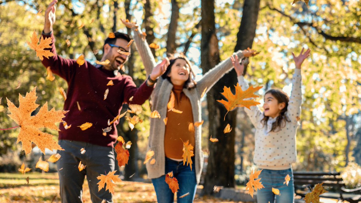 🍂🎃 Get cozy with us this fall! From fall-themed books to seasonal programs and events, to digital resources you can access from home, we've got your perfect cozy day covered. Find out more: bit.ly/4d3022E