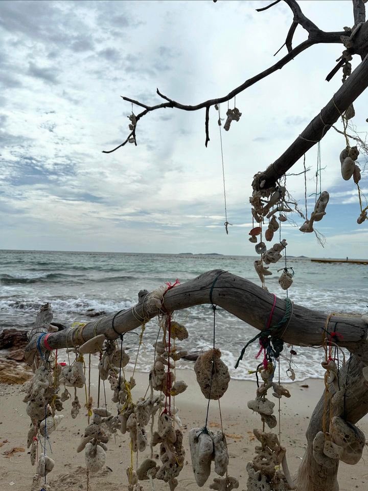 [23092024]

Build broadcast update💙

Scouting 😎🫣

ไปเข้าค่ายแคมปิ้งหรอค้าบ เอนจอยน้า🏕️
<a href="/JakeB4rever/">BIU.</a> #BuildJakapan 
#Beyourluve