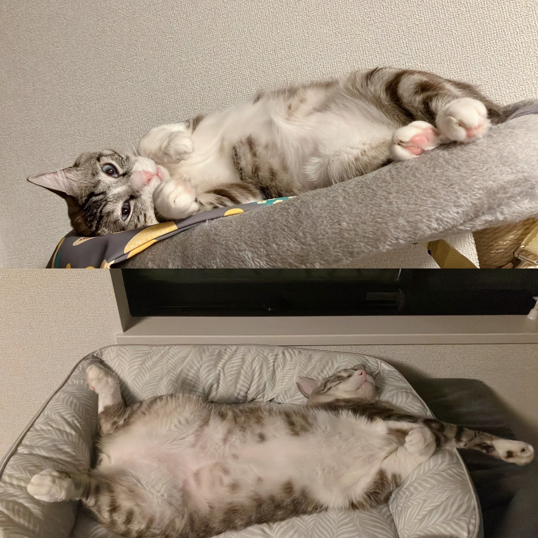 しあん - Hledat / X