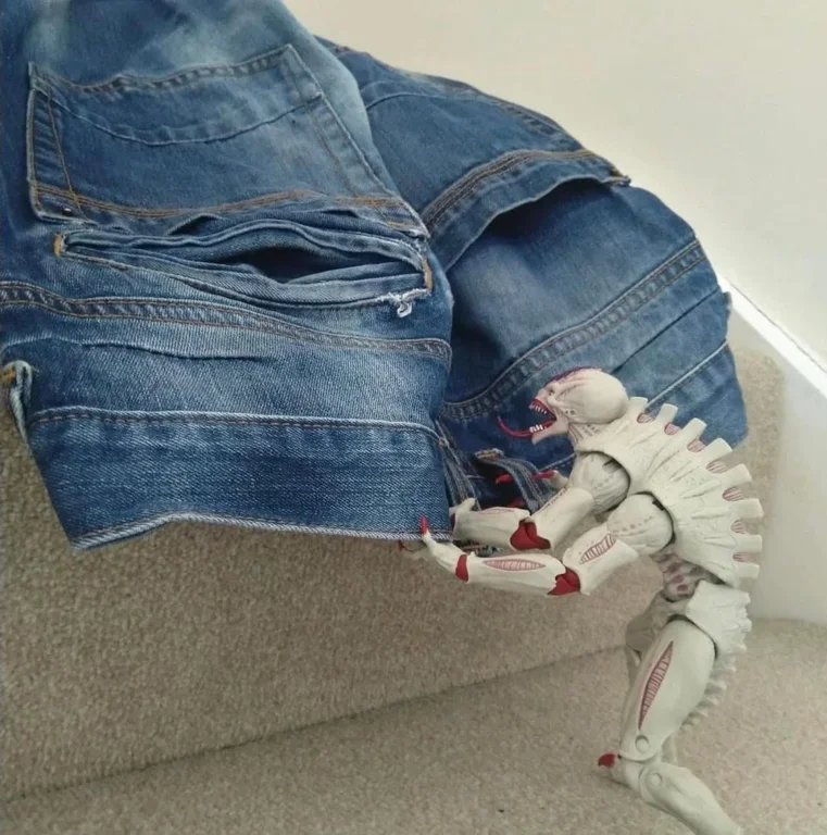 Hashi (@hashiondiscord) on Twitter photo 