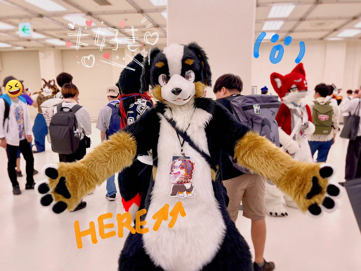 いっちーさんとクラッセさんの写真を撮りました！そしてクラッセさんと一緒に写真を撮りました。めちゃかわいい！初めてなので緊張して何をしたらいいか分かりません。でも皆んなはとてもやさしい。癒されました。(//̀Д/́/)
<a href="/Ichi_palpal/">いっちー@パル🐾</a> <a href="/Bernese_Classe/">くらっせ✨👑🌙@クラッセ next→ FLiP</a> 
#けもケット15