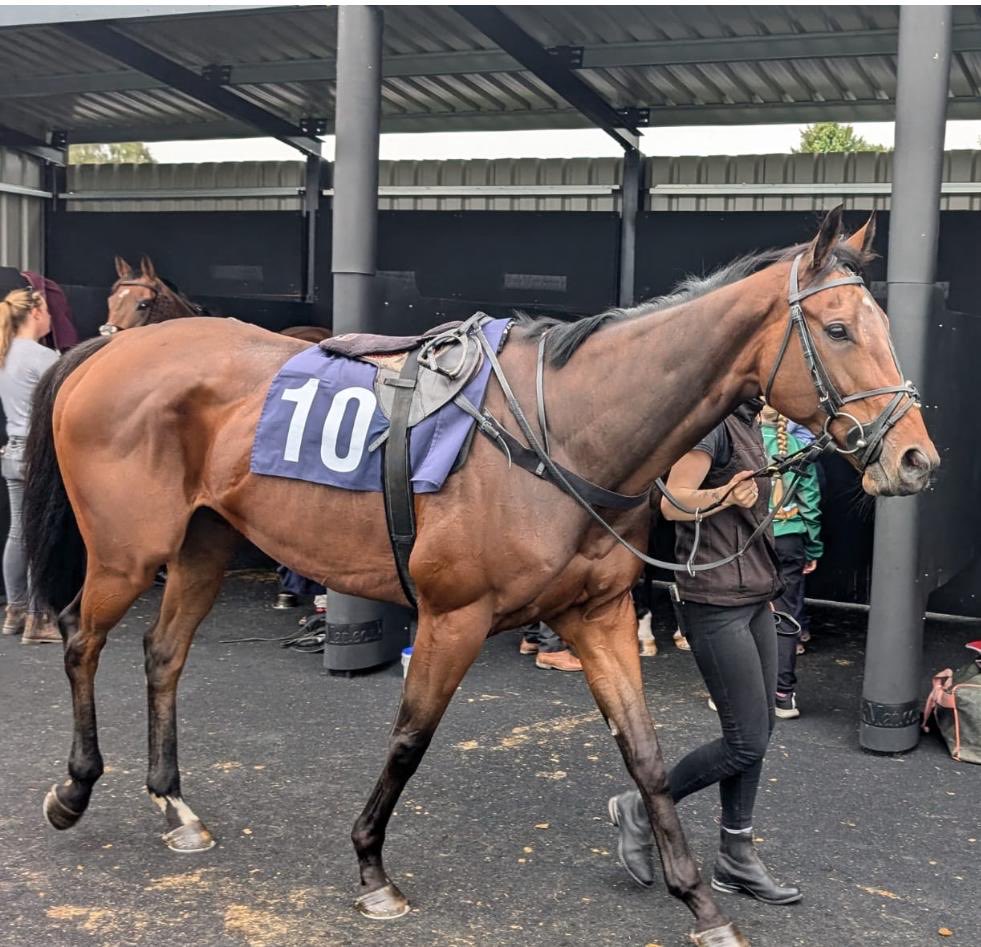 Forever William (right) and Absolutely Fine (right) both finished 3rd on their seasonal debuts against race fit rivals. William goes to Chepstow’s big race in 3 weeks with a great chance, and AF will have learnt lots last time, so we hope he’ll win next time. Come on boys!!!