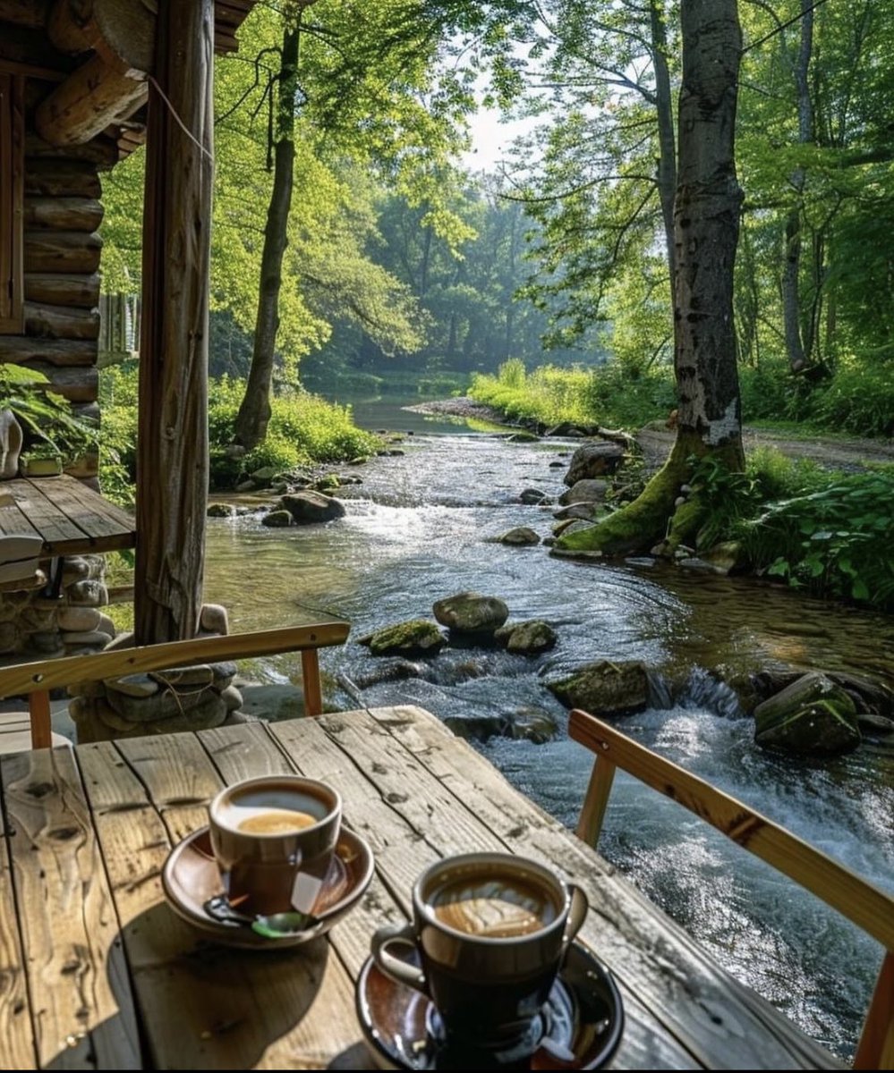 GetAfterIt4U's tweet photo. Sharing the Monday mood. ☕️🌳😌🪷 Who wants to join me? 😊
Enjoy the visual, and have a magnificent start to your day/week, All! 🤙🏼
#MondayVibes #LetsGoHere #serenity https://t.co/ezeNvVbRMX