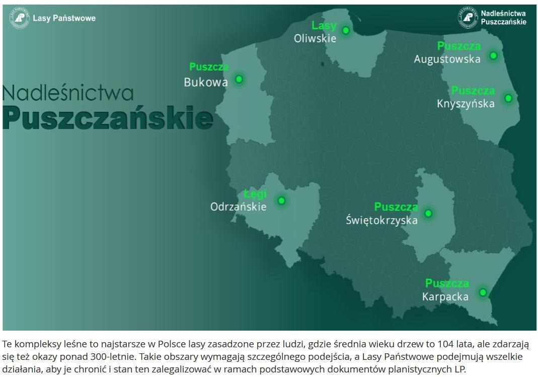 Aha, czyli Puszcza Karpacka istnieje. Tyle, że została zasadzona 300 lat temu przez ludzi.

Czego nie rozumiesz?
<a href="/LPanstwowe/">Lasy Państwowe</a> łapią prawe ucho lewą stopą...