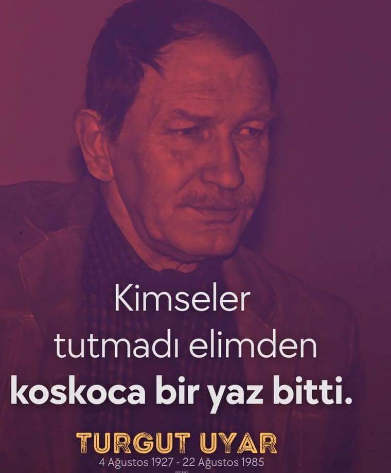 ssakkose tweet media