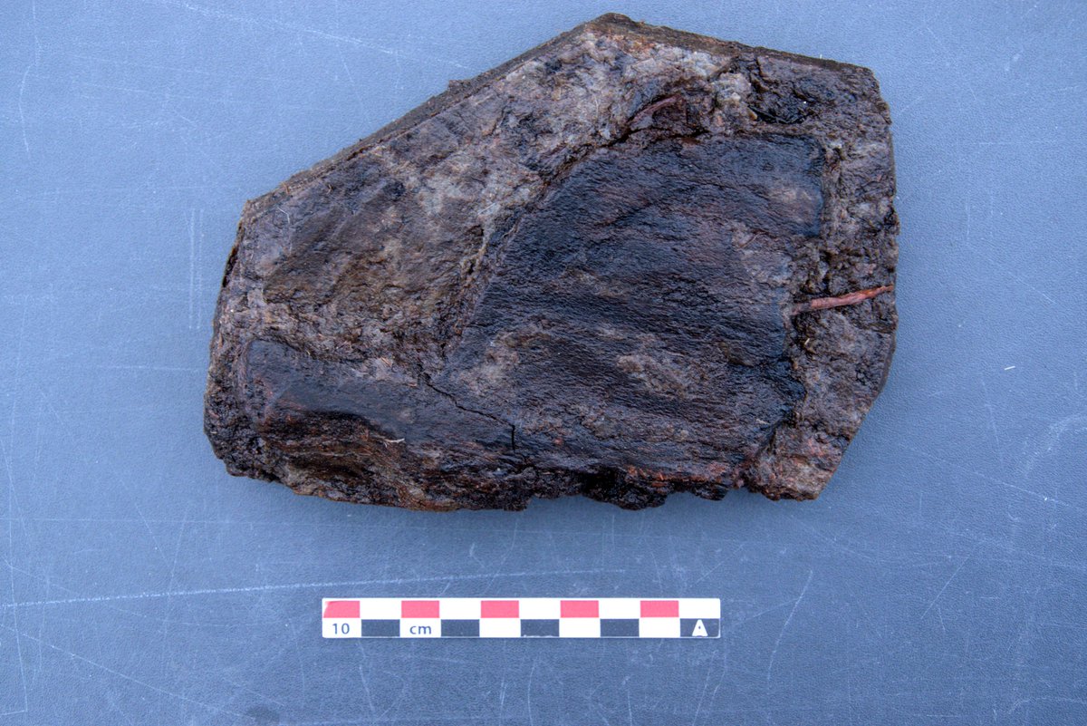 leizarchaeology tweet picture