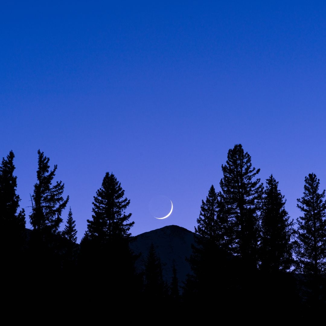 TheNextSummitA1's tweet photo. Lost without a compass?
☀️ Use the setting sun to locate west,
🌟 Use the big dipper to find the north star,
🌳 The side with more tree growth is south,
🌙 Draw a line between crescent moon points to find south,
🧭 #OutdoorSkills #NaturalNavigation https://t.co/diotKDgvCR