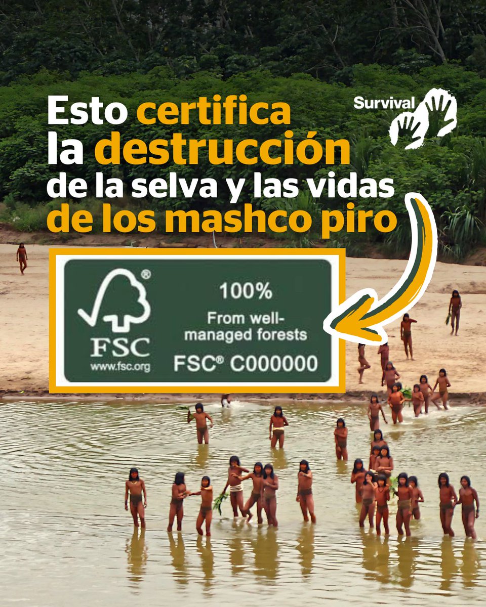 Survival International - en español tweet media