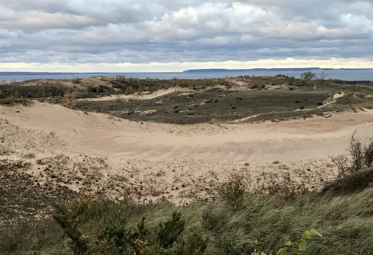 LiveaMemory's tweet photo. I Can Barely Hold My Excitement for Everyone’s #Top4Bears Pics This Week!🧸
Share Your #Top4Theme Memories!
Tag @intheolivegrov1 @obligatraveler @OdetteDunn @pipeaway_travel
1. @SleepingBearNPS - #Michigan
2. Be Bear Aware - #Alaska
3. Bear Art - #Wyoming
4. My Fav Chicago Bear🏈 https://t.co/ycibXyTBtS