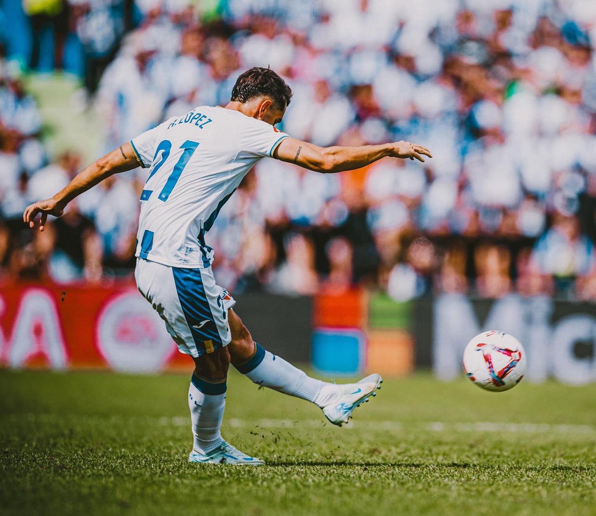 Roberto Lopez tweet media