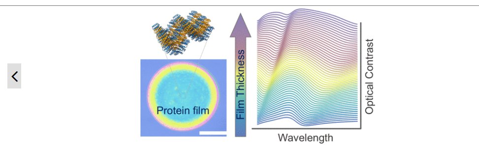 eProt FET Open Project (@eprot_project) on Twitter photo 🎉New Scientific Publication "Thickness Determination and Control in Protein-Based Biomaterial Thin Films" led by Prof. Reyes Calvo <a href="/UA_Universidad/">Universidad de Alicante UA</a>, <a href="/BCMaterials/">BCMaterials</a> and Prof. Aitziber L Cortajarena <a href="/BioMolNano_bmG/">Cortajarena Lab-BioMolNano-CIC biomaGUNE</a>.
#pathfinder
doi.org/10.1021/acsabm… 🎉New Scientific Publication "Thickness Determination and Control in Protein-Based Biomaterial Thin Films" led by Prof. Reyes Calvo <a href="/UA_Universidad/">Universidad de Alicante UA</a>, <a href="/BCMaterials/">BCMaterials</a> and Prof. Aitziber L Cortajarena <a href="/BioMolNano_bmG/">Cortajarena Lab-BioMolNano-CIC biomaGUNE</a>.
#pathfinder
doi.org/10.1021/acsabm…