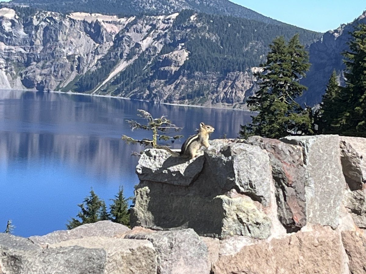 Made friends with wildlife at Crater Lake National Park, #43 of 63.