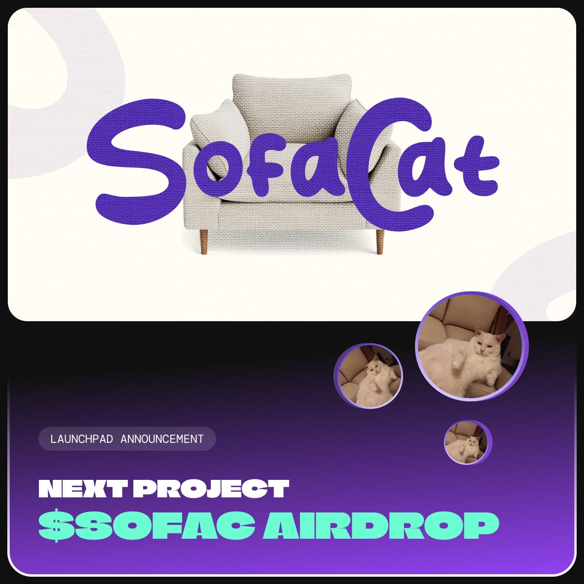 catsolhat's tweet image. 🚀 Introducing the next project on CatSolHat Memecoin Launchpad: @SofaCatSPL 🛋️😺

Read more 👇