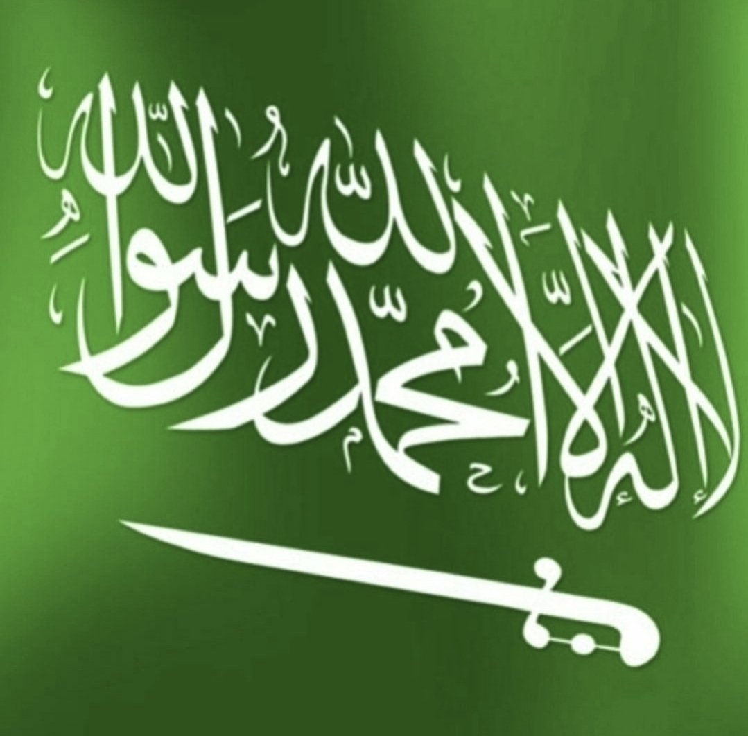 إني رأيتُ هُوِيَّتي في رايةٍ
خضراءَ فيها العِزُّ وَسْمٌ ظاهرُ..

فيها الشهادةُ بالهُدى خَفّاقةٌ
وبها لِنصر الحقِّ سيفٌ باتِرُ..

يا أيُّها الوطنُ الذي انقادت له
آمالُه وتقَدَّمتْه مَآثِرُ..

لو لم تكن وطني لكنتَ لِخافقي
وطناً أَتِيهُ بمجده وأُفاخِرُ