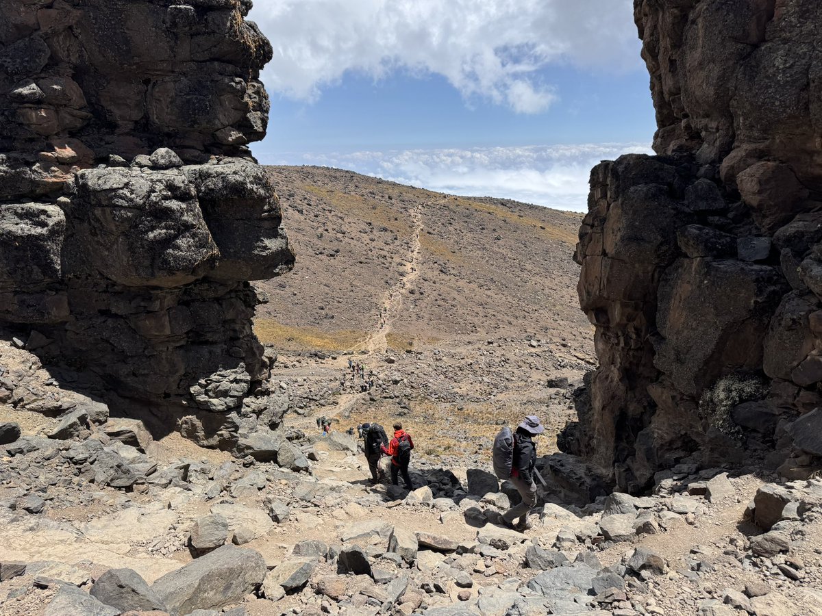 emergencysc's tweet photo. Update! The team reached 4600m at Lava Tower and finished an 8-hour day at Baranco Camp (3900m). Everyone’s exhausted but pushing through! 💪 Some have faced altitude sickness, but we're digging deep. Huge thanks for your support 💙 2 days till the summit! 🏔️ #Kilimanjaro https://t.co/178g4u3nWq