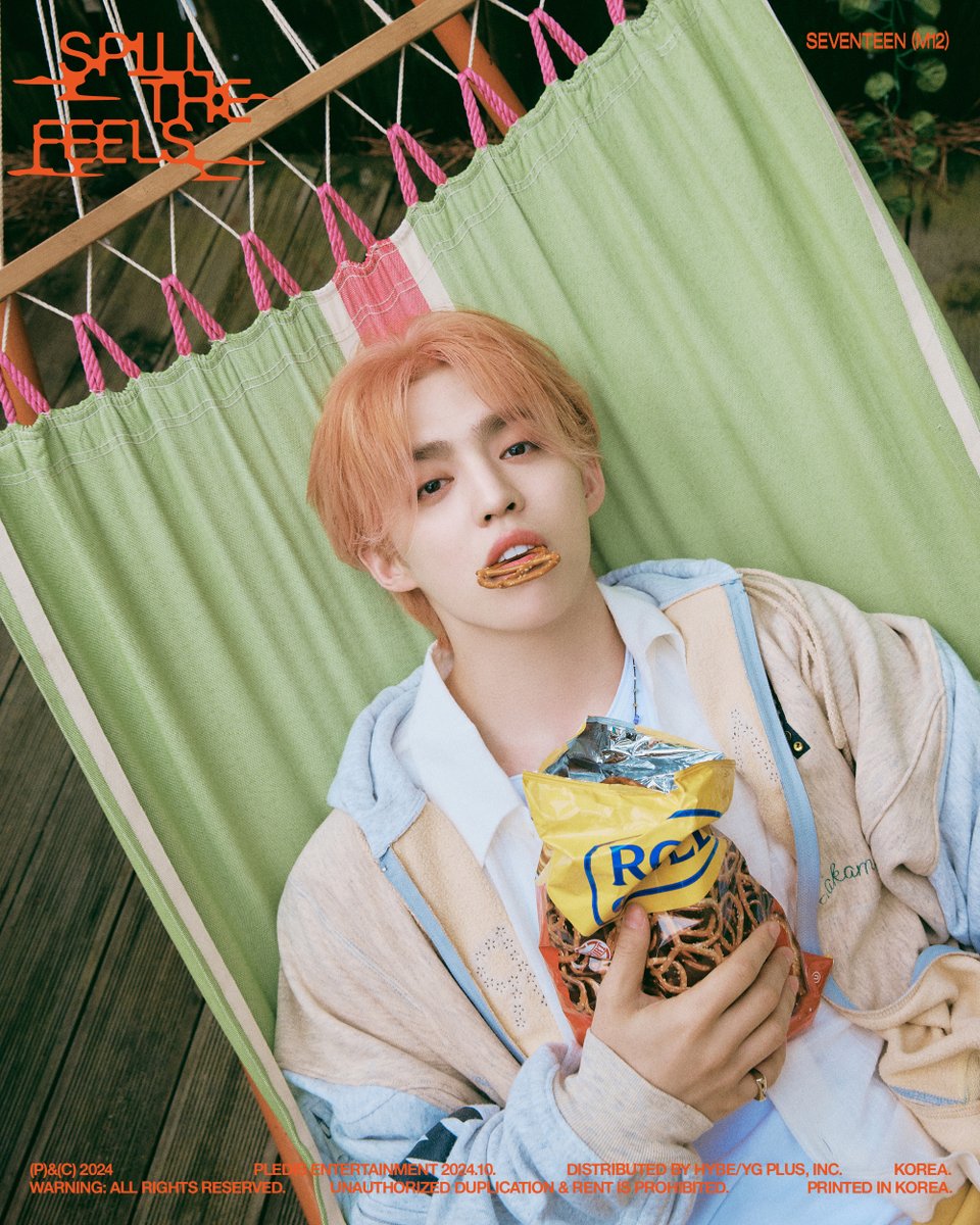 SEVENTEEN (세븐틴) 12th Mini Album Official Photo 𝗩𝗘𝗥.𝟮