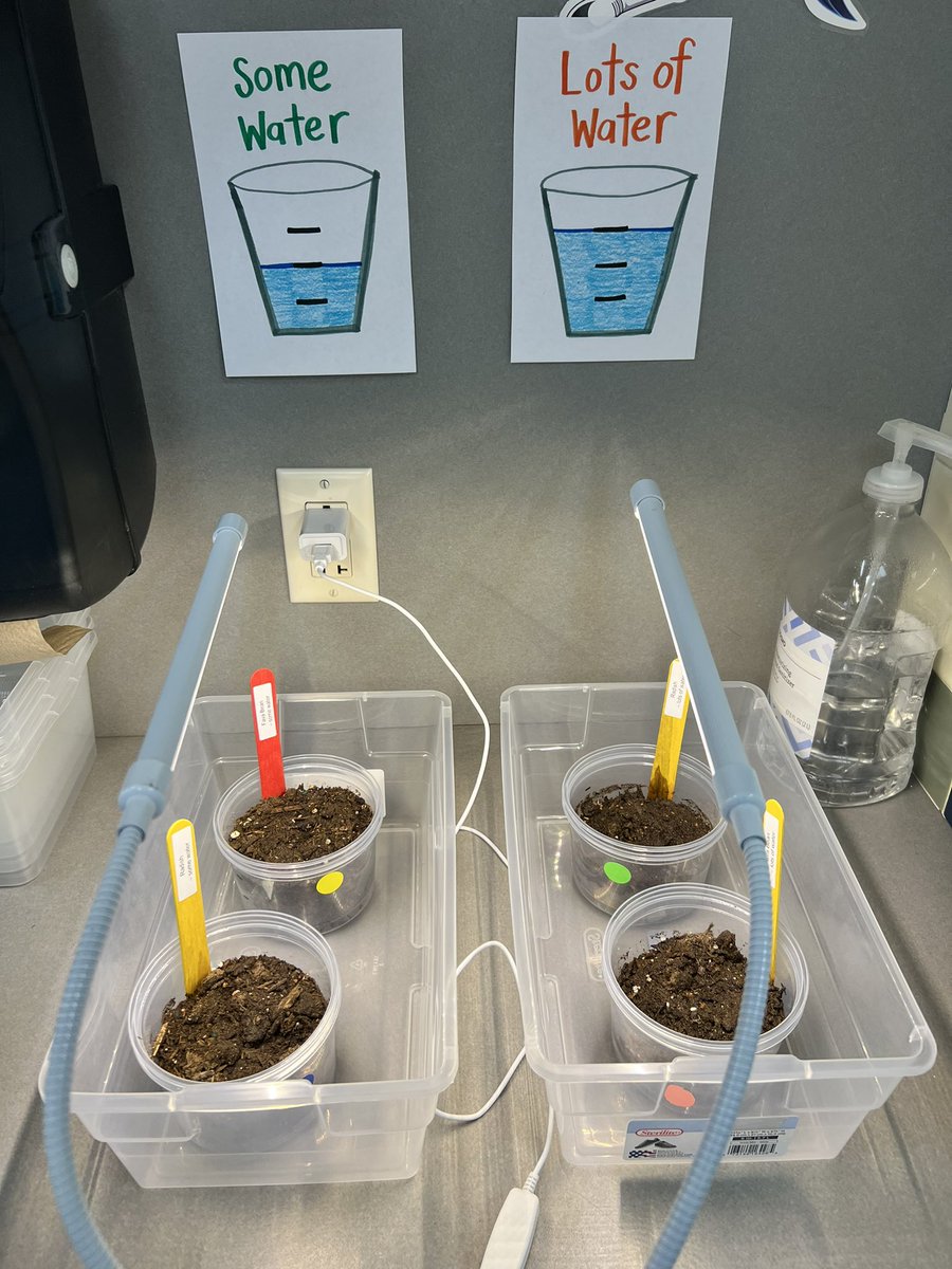 New plant unit in 2nd grade! <a href="/Westsideleaders/">Westside Elementary</a> #1LISD <a href="/LISDElemScience/">LISD Elem Science</a>