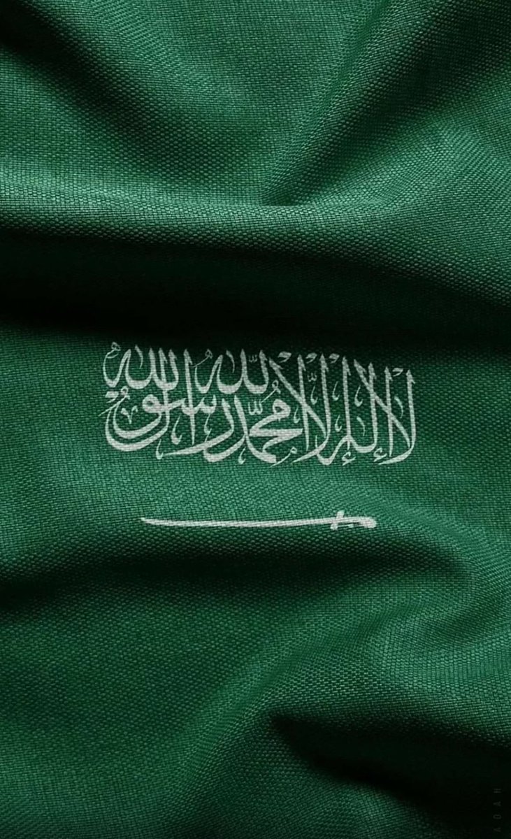 yourSoul245's tweet photo. لاحدود للطموح في وطن الانجاز💚🤍 https://t.co/bizyEturWa