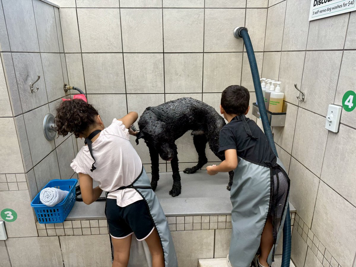 Sawyer @ #ETJ Doggie spa! 

#doglife #doglovers #dogs #dog #dogspa #embracethejourney #thevegafamily