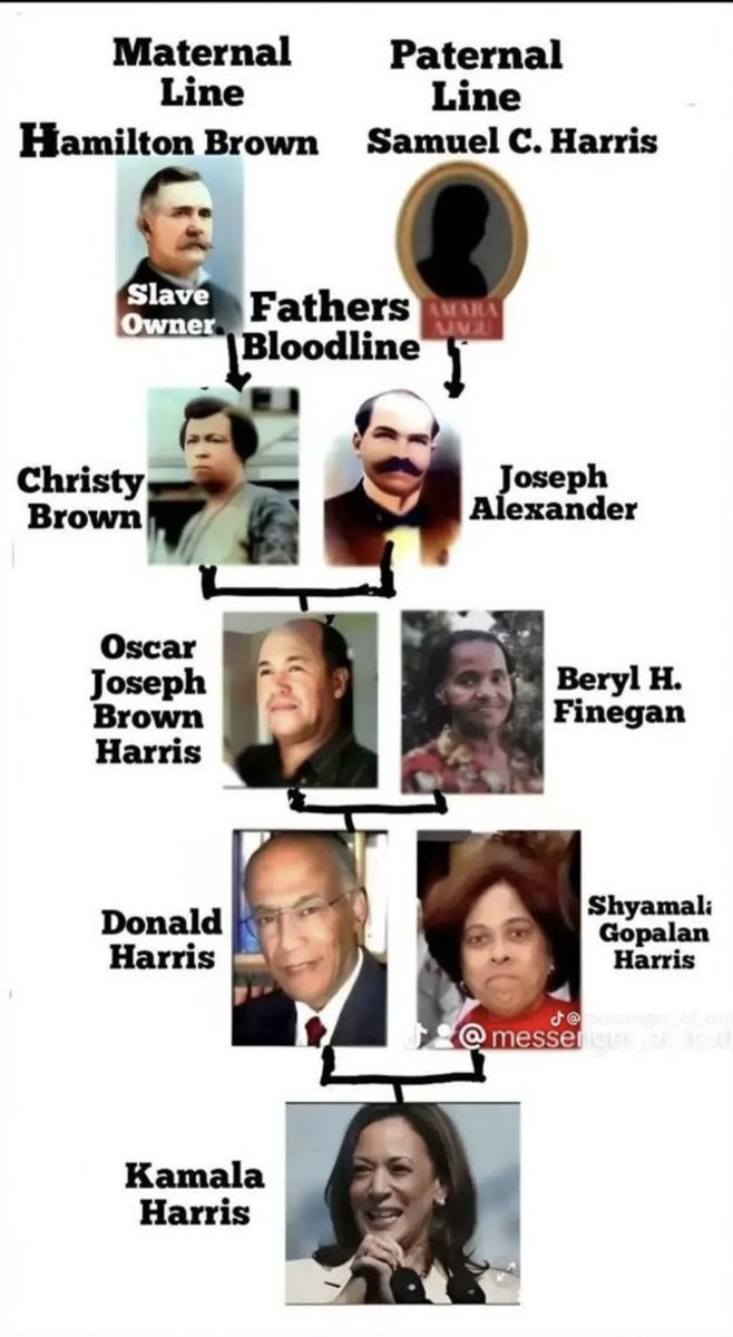 justjewels912's tweet photo. @ProfBlacktruth Janet’s right. Kamala’s dad is half Hindu half Irish. She is not Black. #WeStandWithJanet https://t.co/4YbqnA6u1o