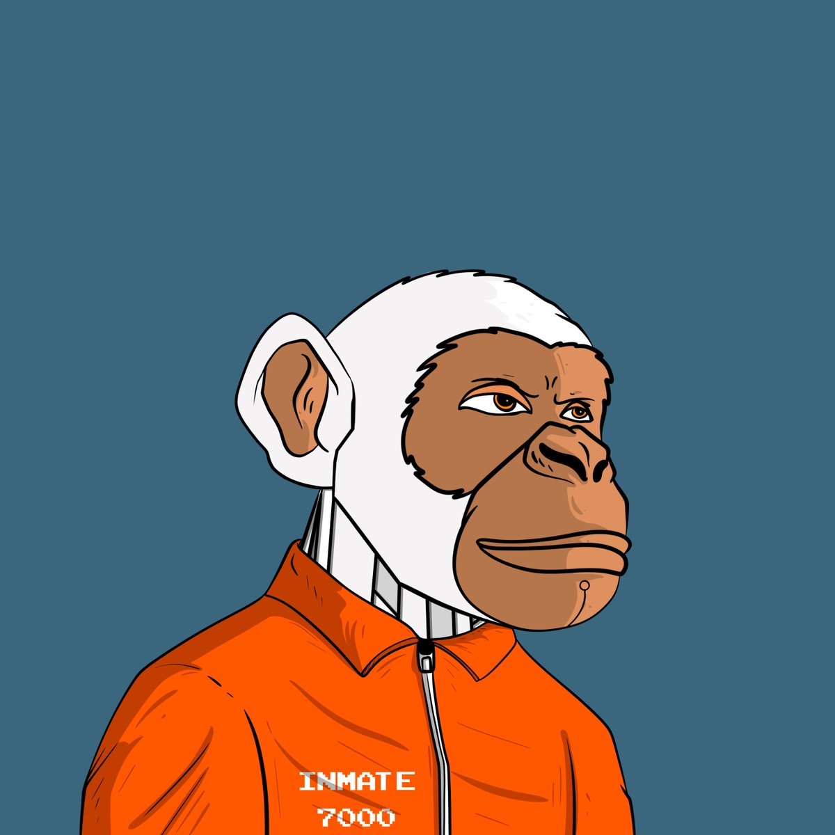 Mecha Yapes 🐵

Inmate #7000 (trait) 🔒

Launching: October 5 on #Solana 🟣

$SOL #SolanaNFT #SolanaNFTs #SolanaMint #SolanaLaunch #NFTlaunch #NFTmint