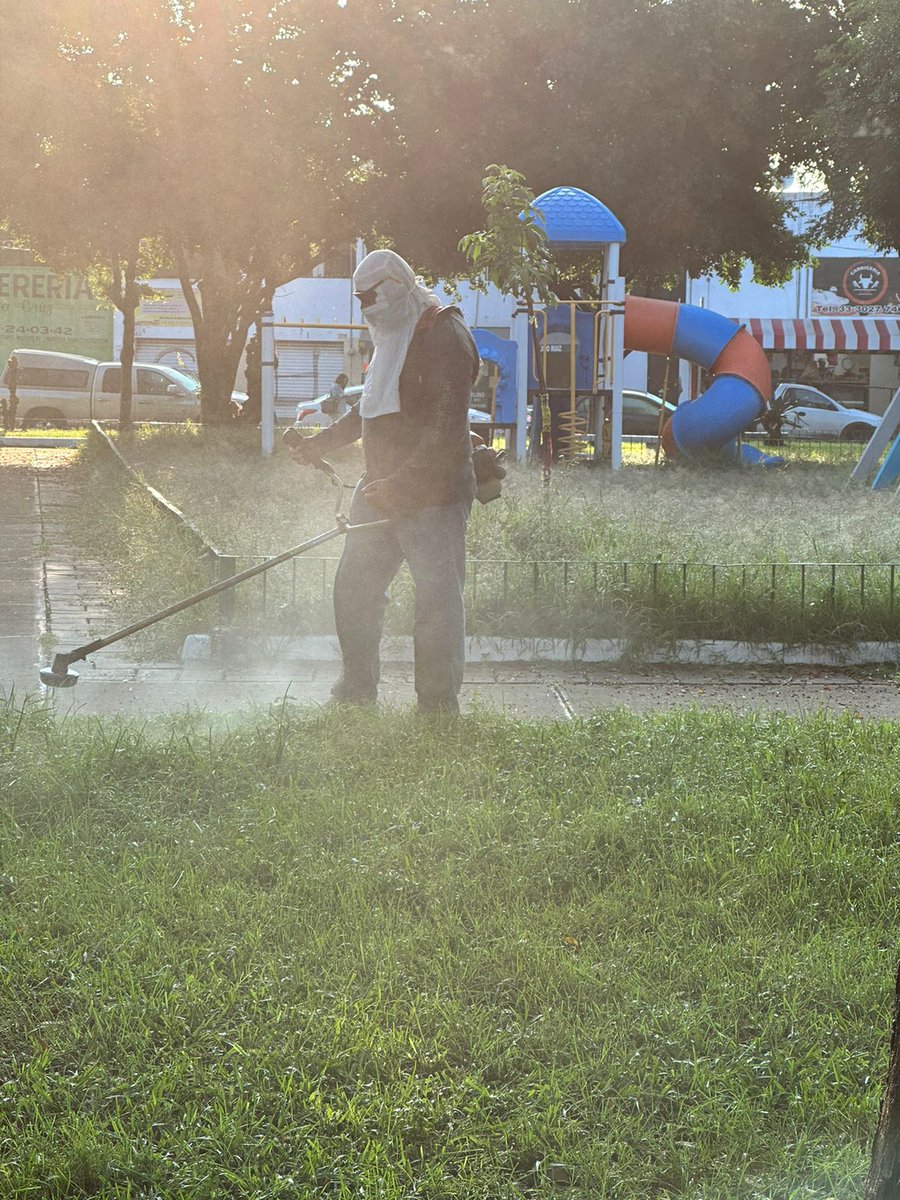 roxychik25's tweet image. Quiero agradecer  a Diego Armando Avila Olmos jefe de unidad departamental en Parques y jardines por su compromiso que tiene para apoyar a los ciudadanos  @JuanJoseFrangie  gracias por mantener siempre limpios nuestros parques para nuestros niños y niñas
@ServiciosZap gracias 🙏