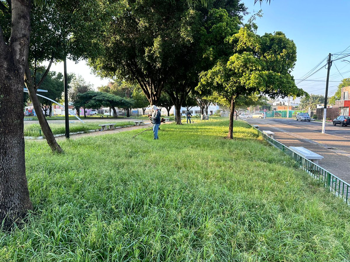 roxychik25's tweet image. Quiero agradecer  a Diego Armando Avila Olmos jefe de unidad departamental en Parques y jardines por su compromiso que tiene para apoyar a los ciudadanos  @JuanJoseFrangie  gracias por mantener siempre limpios nuestros parques para nuestros niños y niñas
@ServiciosZap gracias 🙏