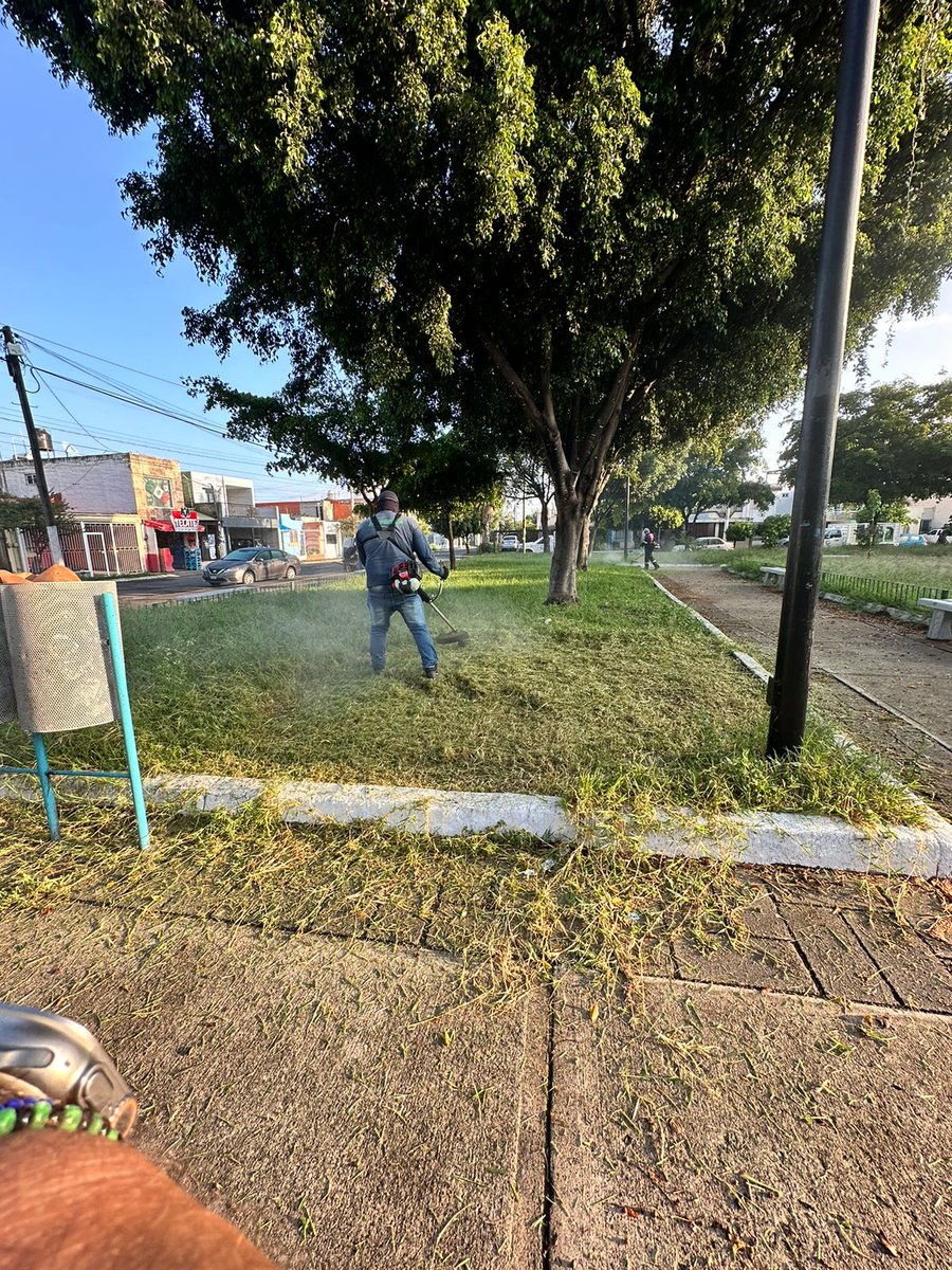 roxychik25's tweet image. Quiero agradecer  a Diego Armando Avila Olmos jefe de unidad departamental en Parques y jardines por su compromiso que tiene para apoyar a los ciudadanos  @JuanJoseFrangie  gracias por mantener siempre limpios nuestros parques para nuestros niños y niñas
@ServiciosZap gracias 🙏