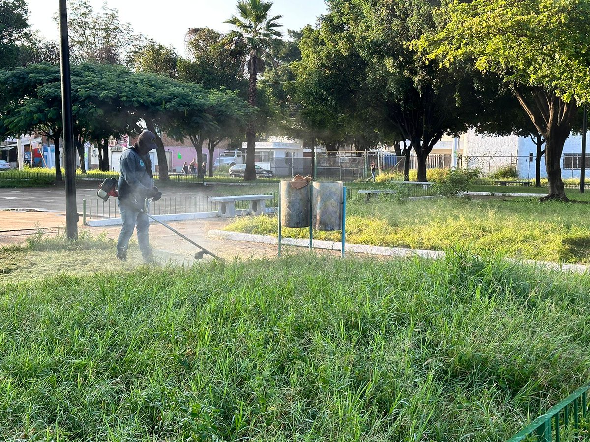 roxychik25's tweet image. Quiero agradecer  a Diego Armando Avila Olmos jefe de unidad departamental en Parques y jardines por su compromiso que tiene para apoyar a los ciudadanos  @JuanJoseFrangie  gracias por mantener siempre limpios nuestros parques para nuestros niños y niñas
@ServiciosZap gracias 🙏