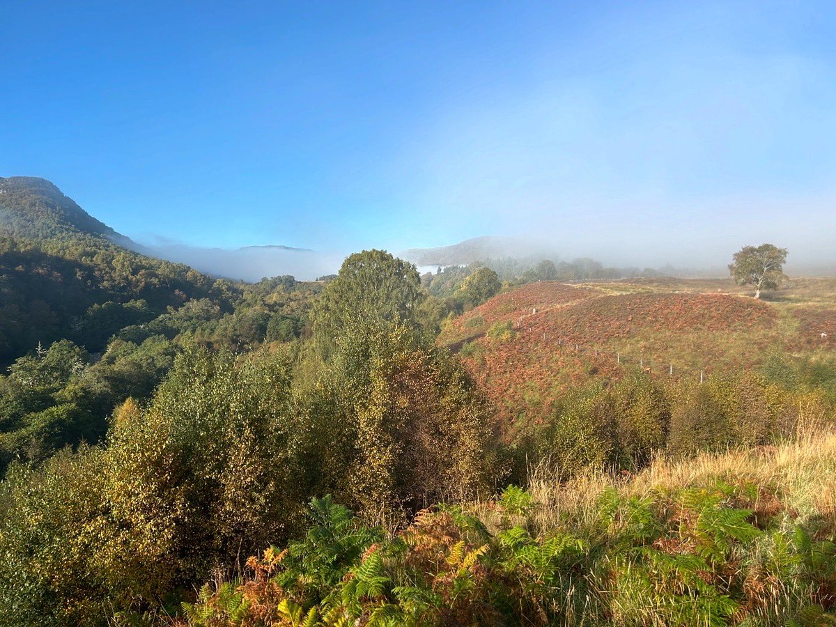 ydsYvette's tweet photo. Scotland, September, sunshine, and my most favourite of views to wake up to. The last few days were blissful. https://t.co/fql9uh23aJ