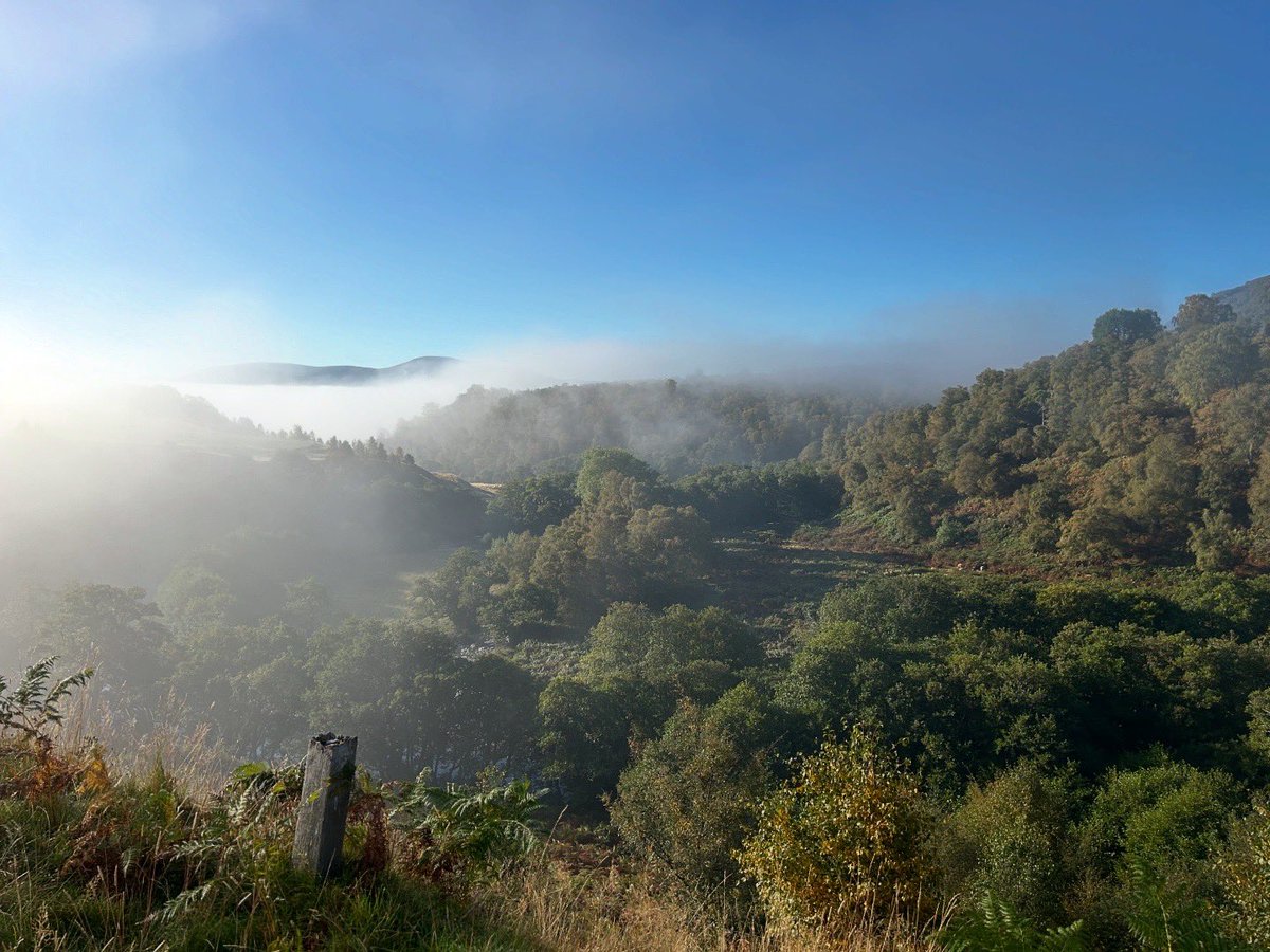 ydsYvette's tweet photo. Scotland, September, sunshine, and my most favourite of views to wake up to. The last few days were blissful. https://t.co/fql9uh23aJ
