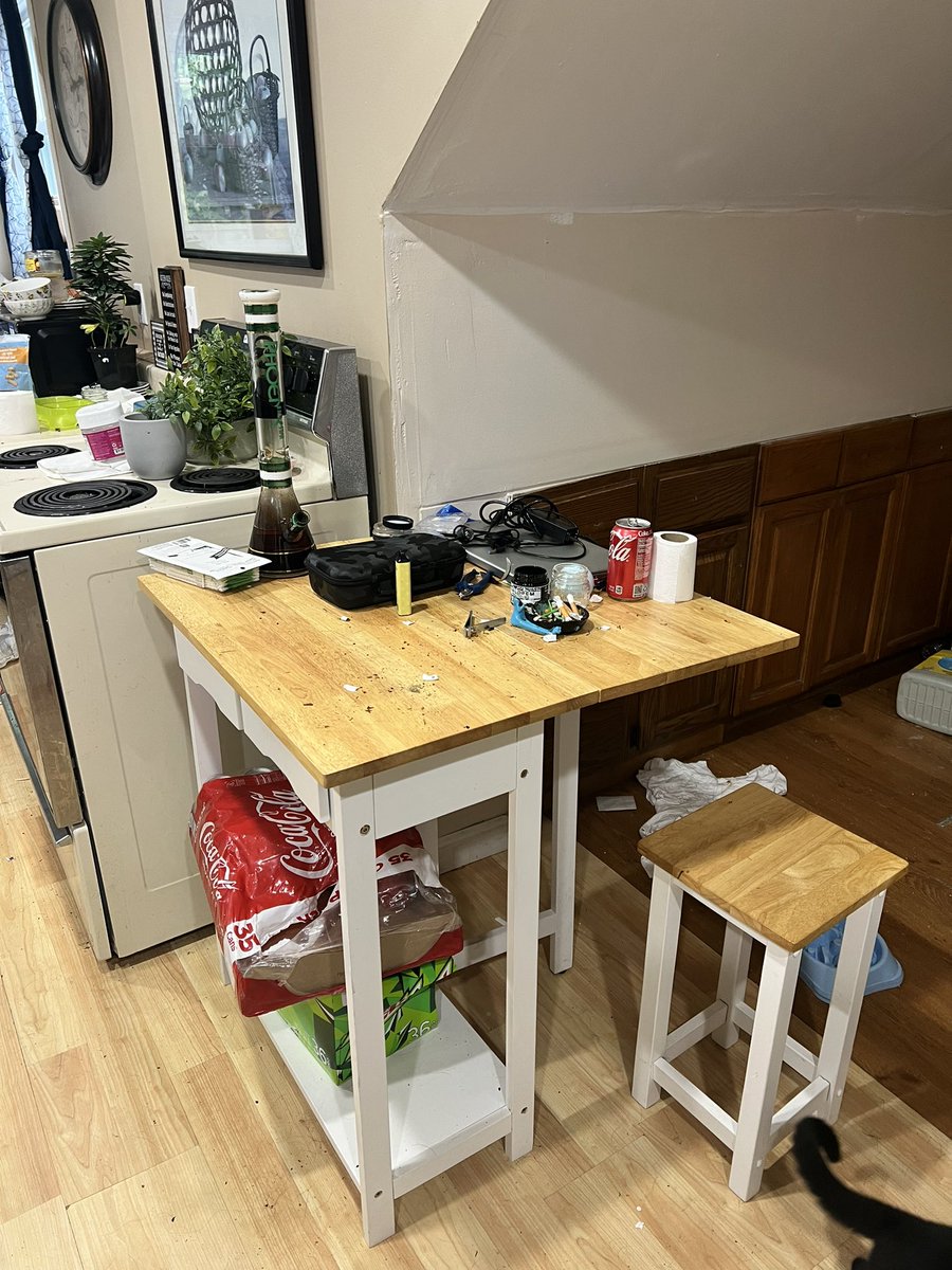 Note to self: never let anyone stay in ur house no matter how sad the story is