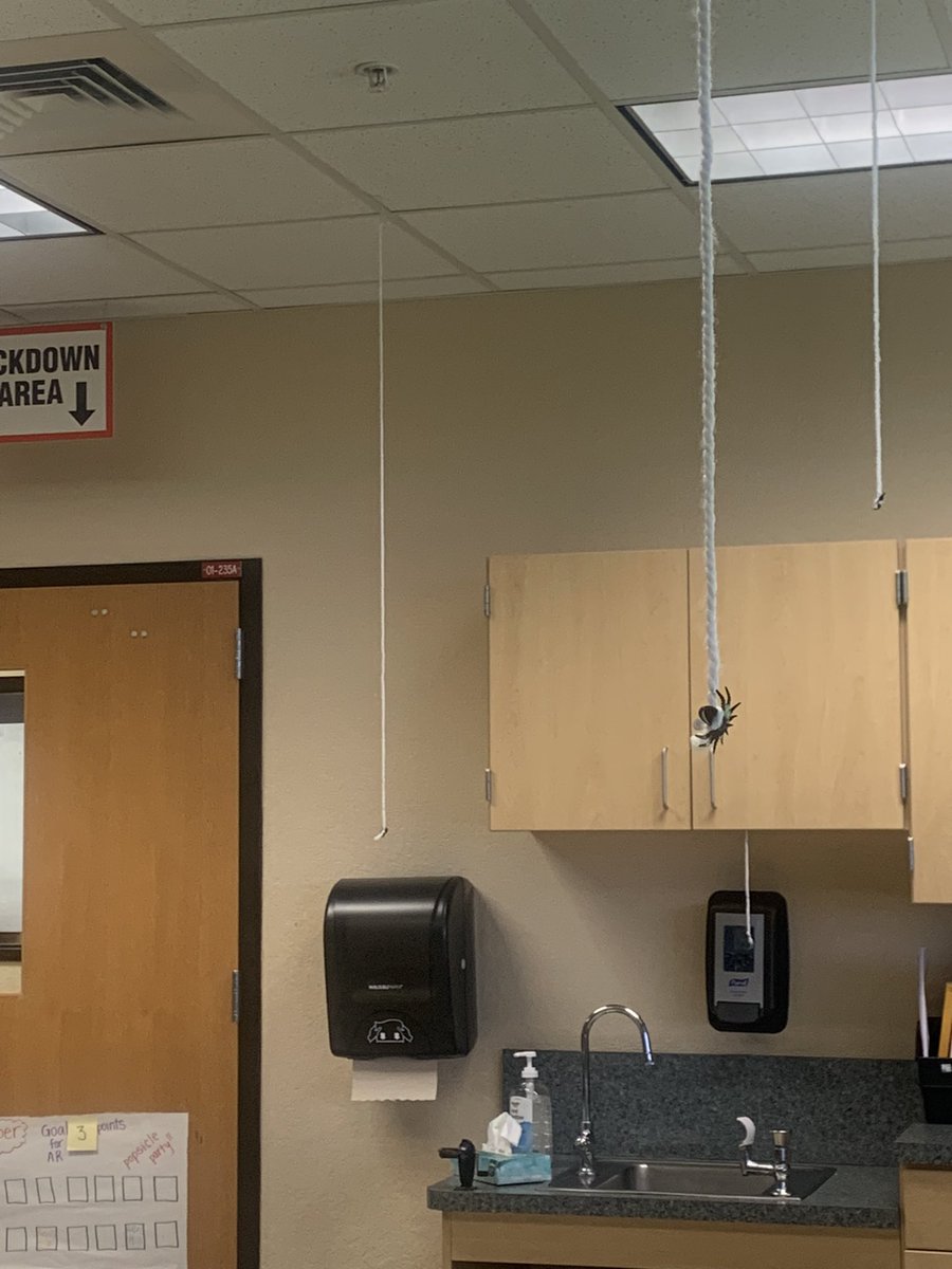 Holly Melms tweet media