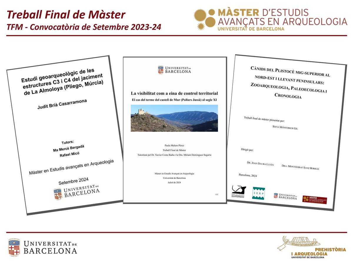 Màster d'Estudis Avançats en Arqueologia tweet media