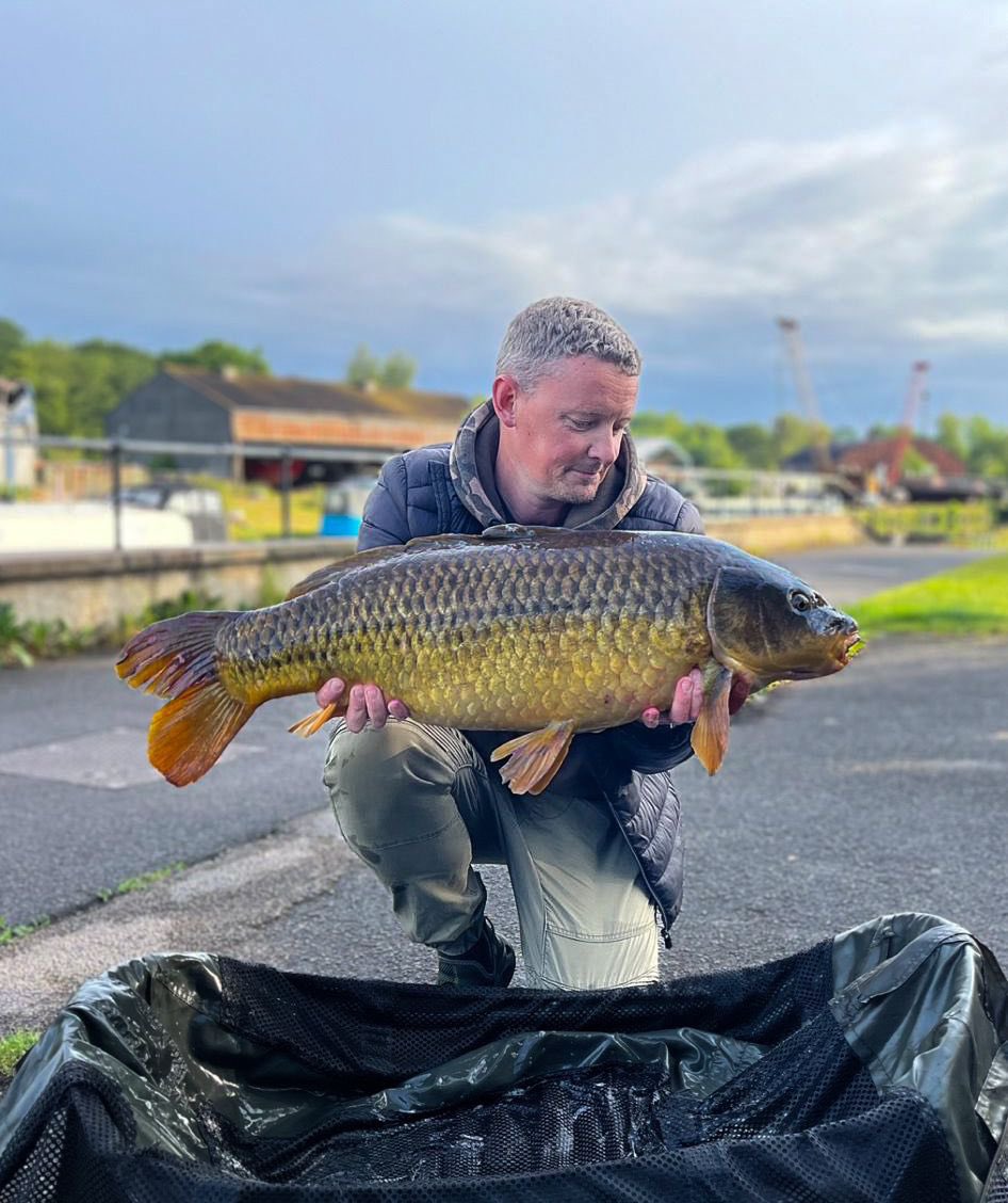 rob_carpy's tweet photo. 💥 29lb of pure wild river common 💥

Striped me close of 80 yards of line up stream. Colossal fighting machine !! 
Opening day of the river season back in June ! 
#carpfishing #commoncarp #river #foxinternational https://t.co/4dlTAe46af