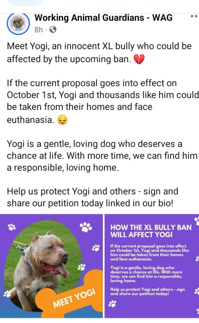workinganimalguardians@gmail.com tweet media